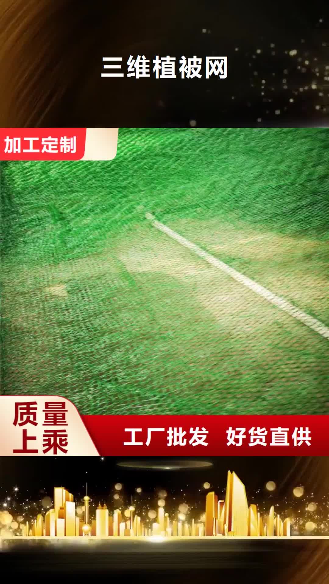 【朔州 三维植被网_塑料盲沟商家直供】