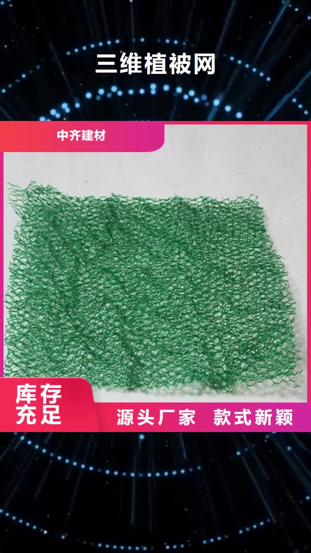 河池 三维植被网-【土工膜】我们更专业