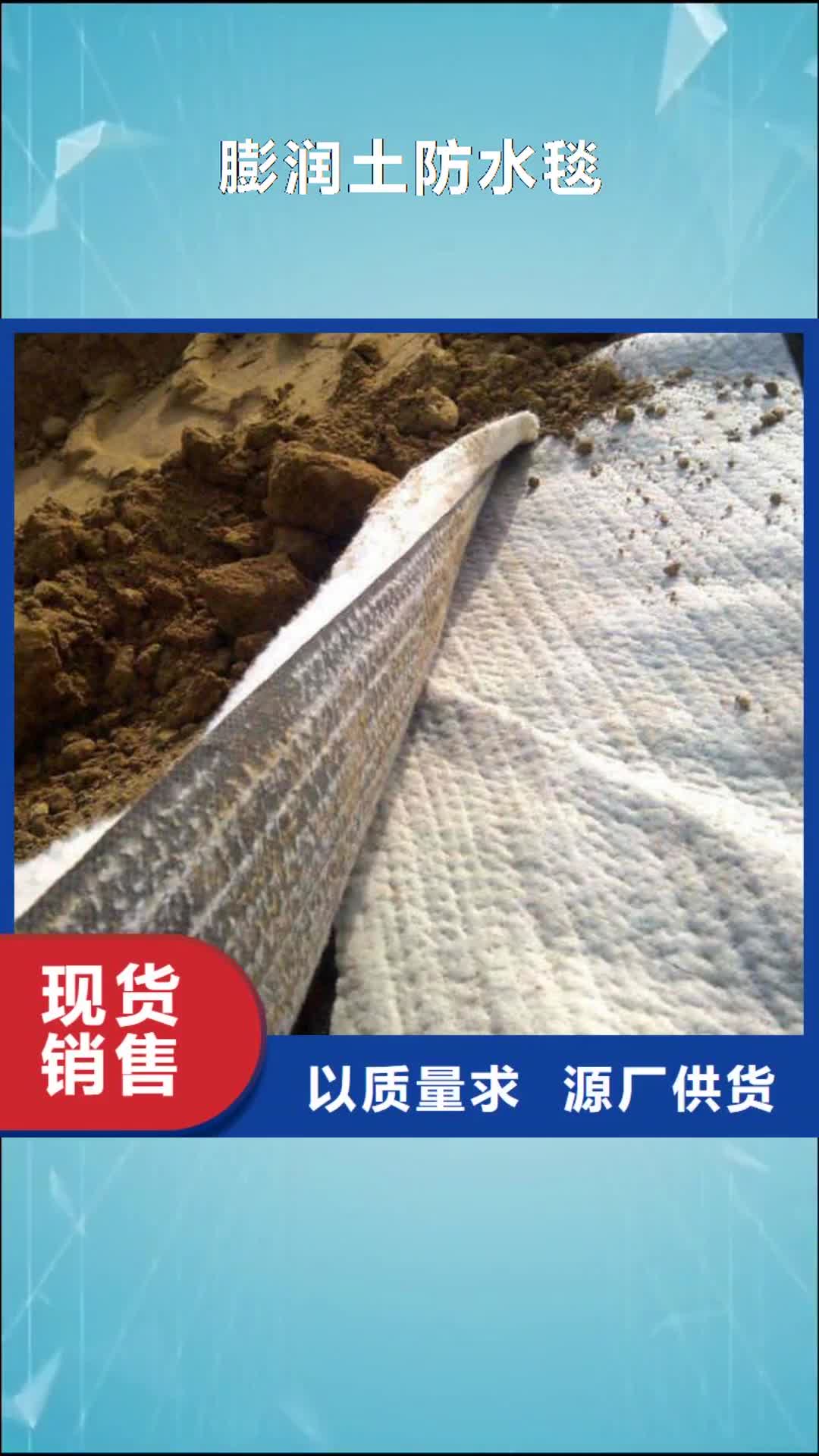 衢州 膨润土防水毯通过检测
