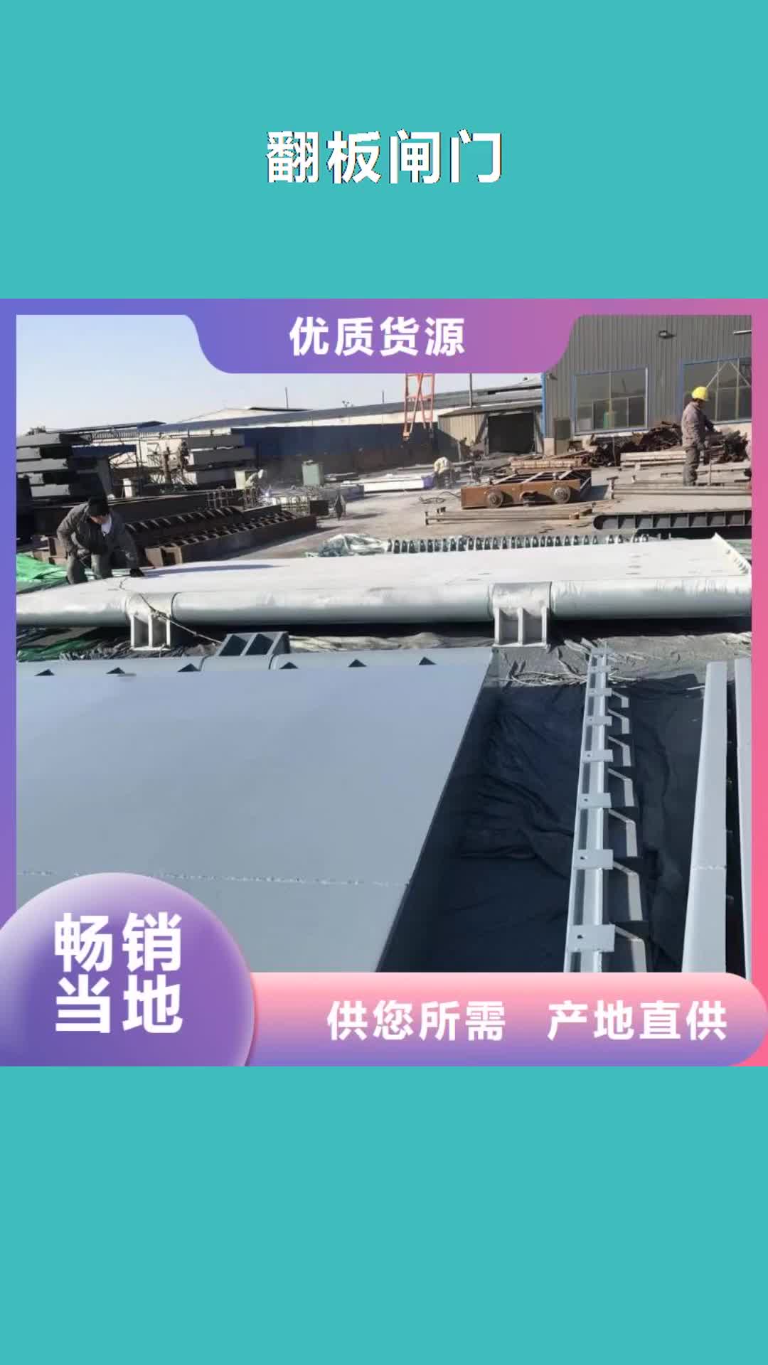 日喀则 翻板闸门源头厂家