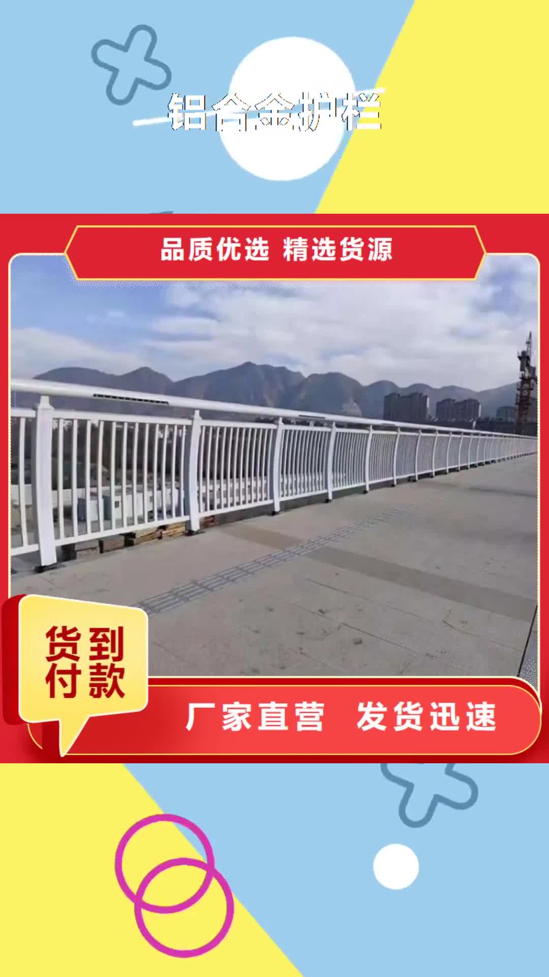 【甘肃 铝合金护栏 不锈钢灯光护栏厂家直营】