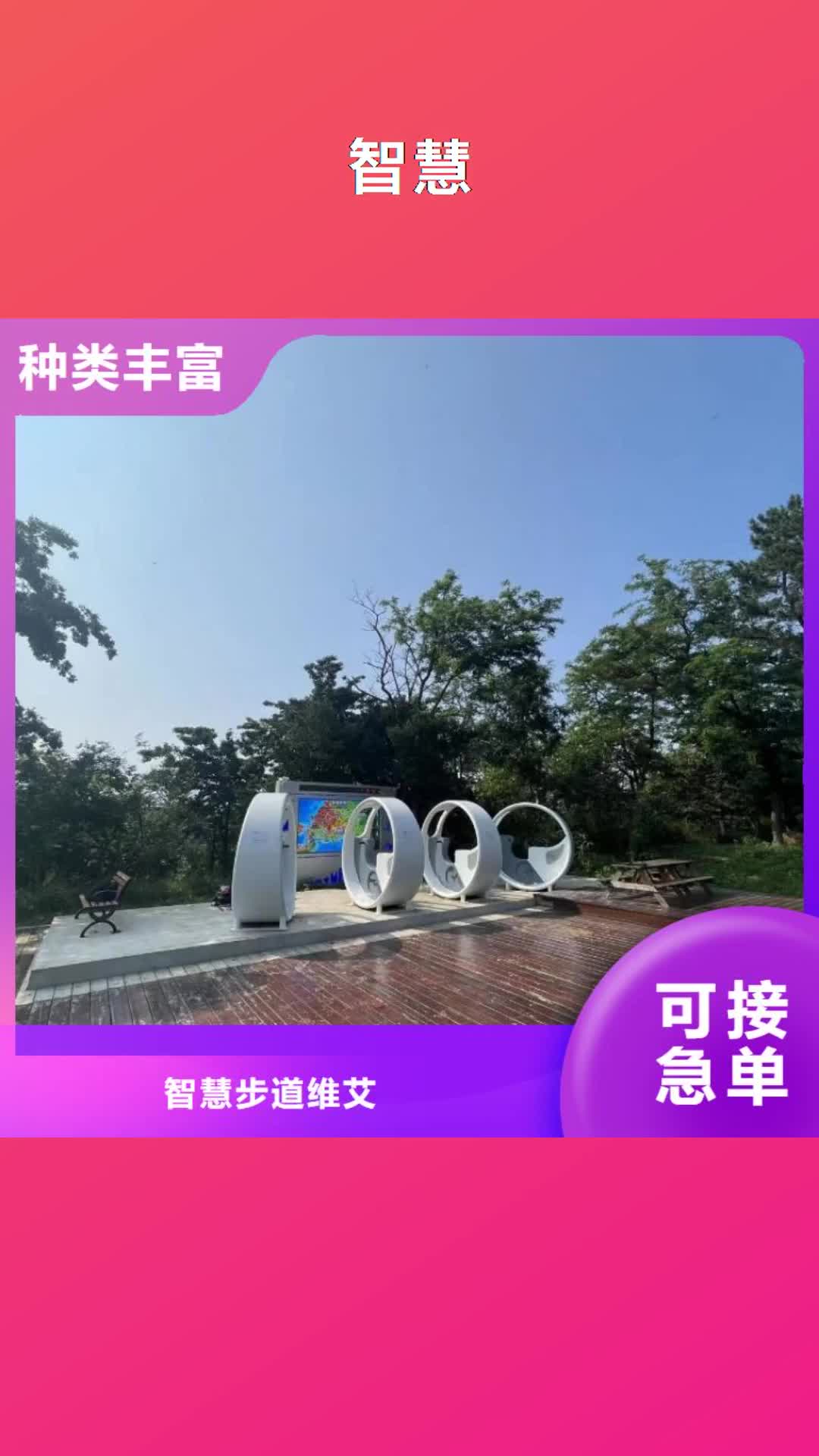 巢湖【智慧】,ai虛擬騎行單車用品質贏得客戶信賴