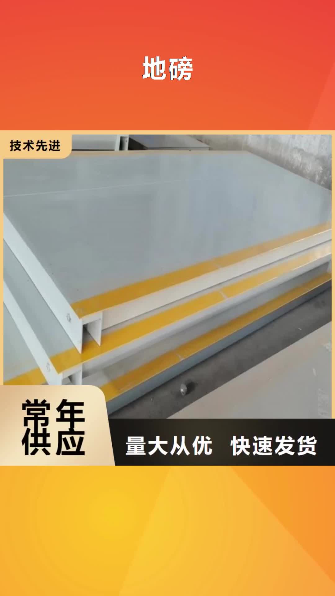 鄂州【地磅】,工地洗車機專注細節更放心
