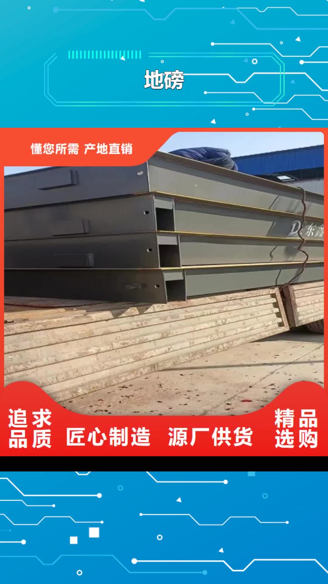 日照【地磅】_工地洗車機廠家直銷供貨穩定