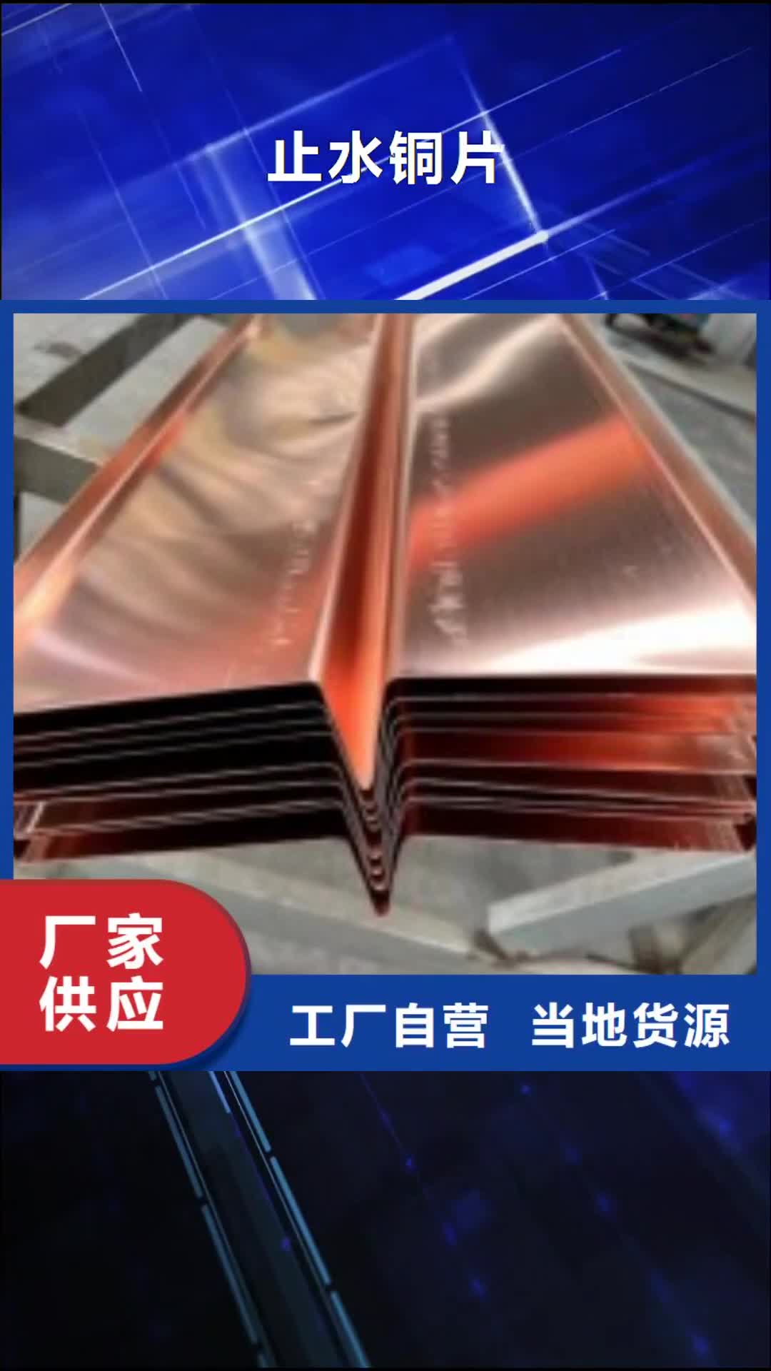 【安陽 止水銅片土工格柵廠家技術(shù)完善】