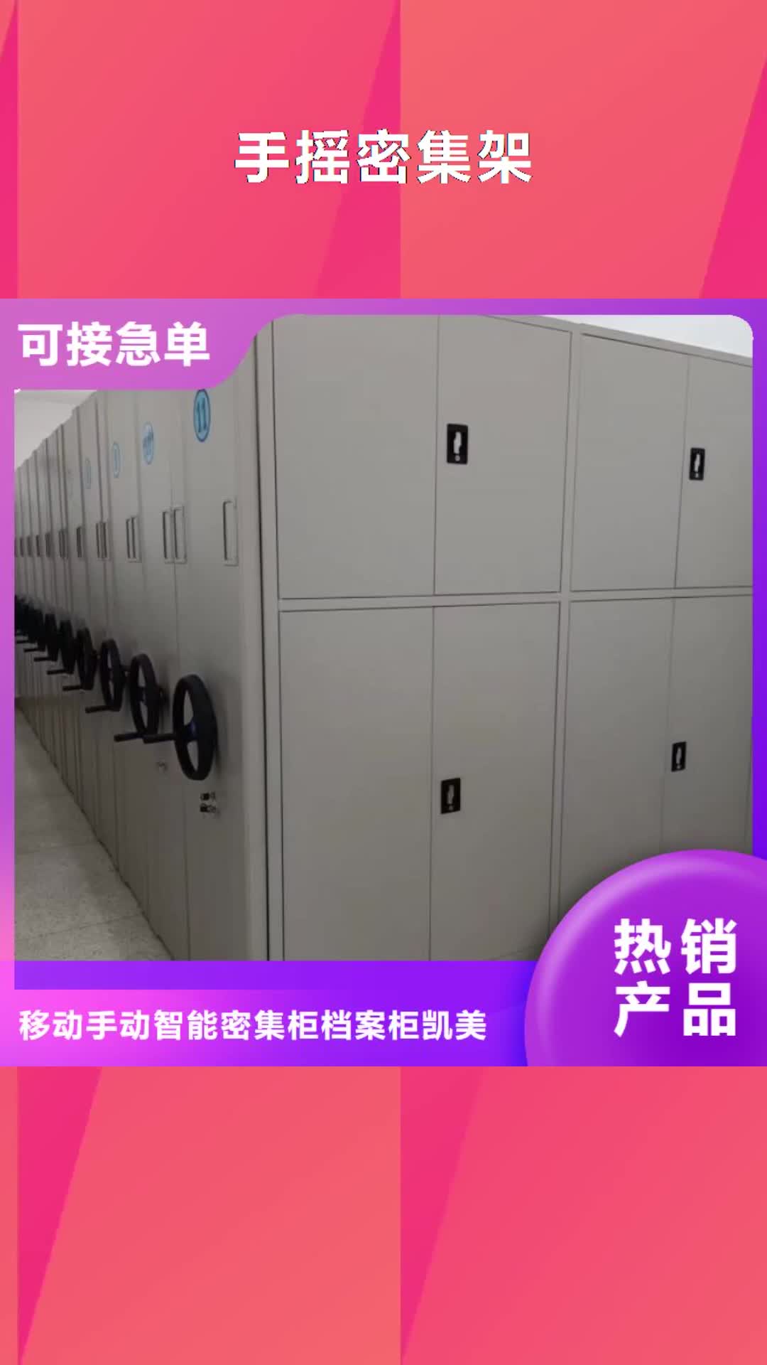 益阳【手摇密集架】,金库门实体厂家支持定制