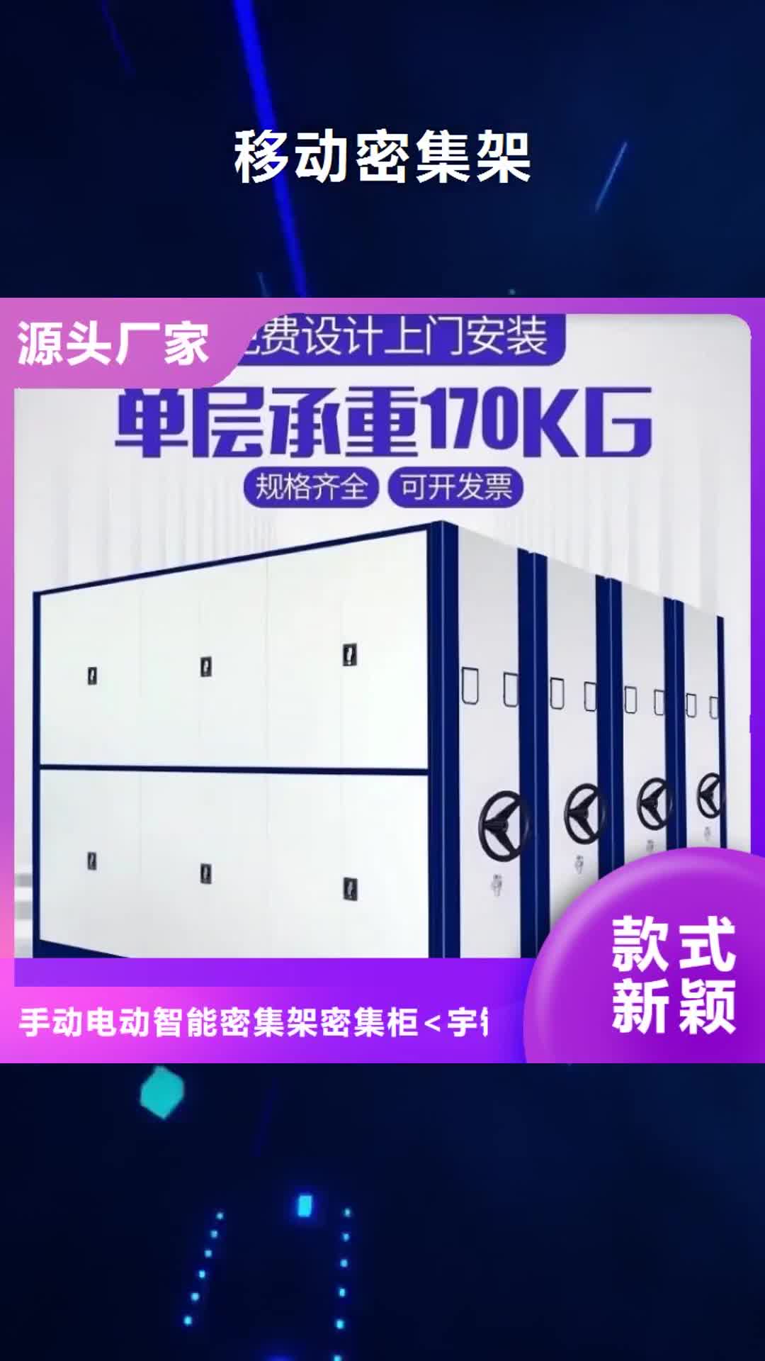 安康【移动密集架】-文件柜生产型