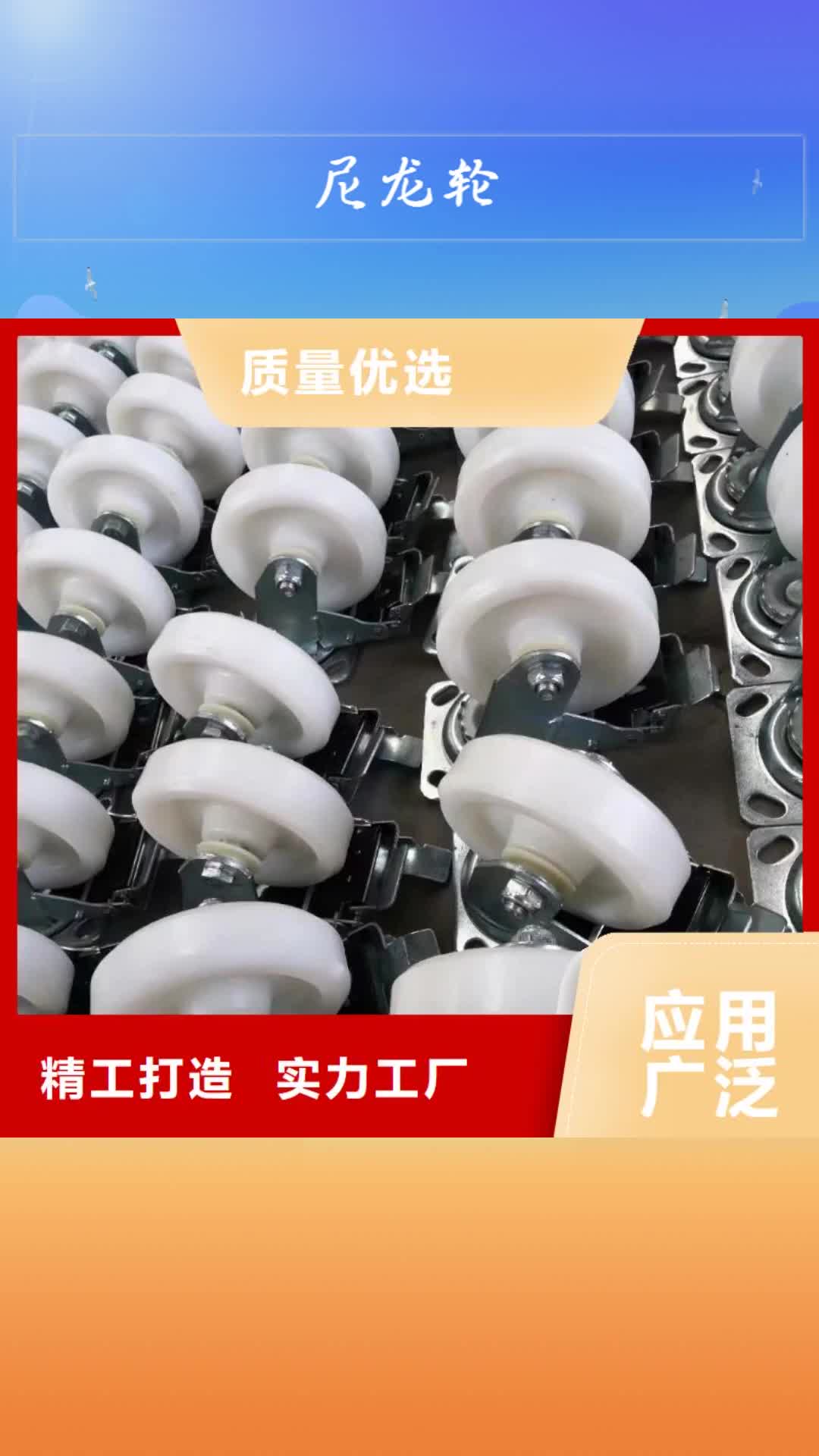 麗江【尼龍輪】,硅膠密封條廠家買的放心安興用的舒心