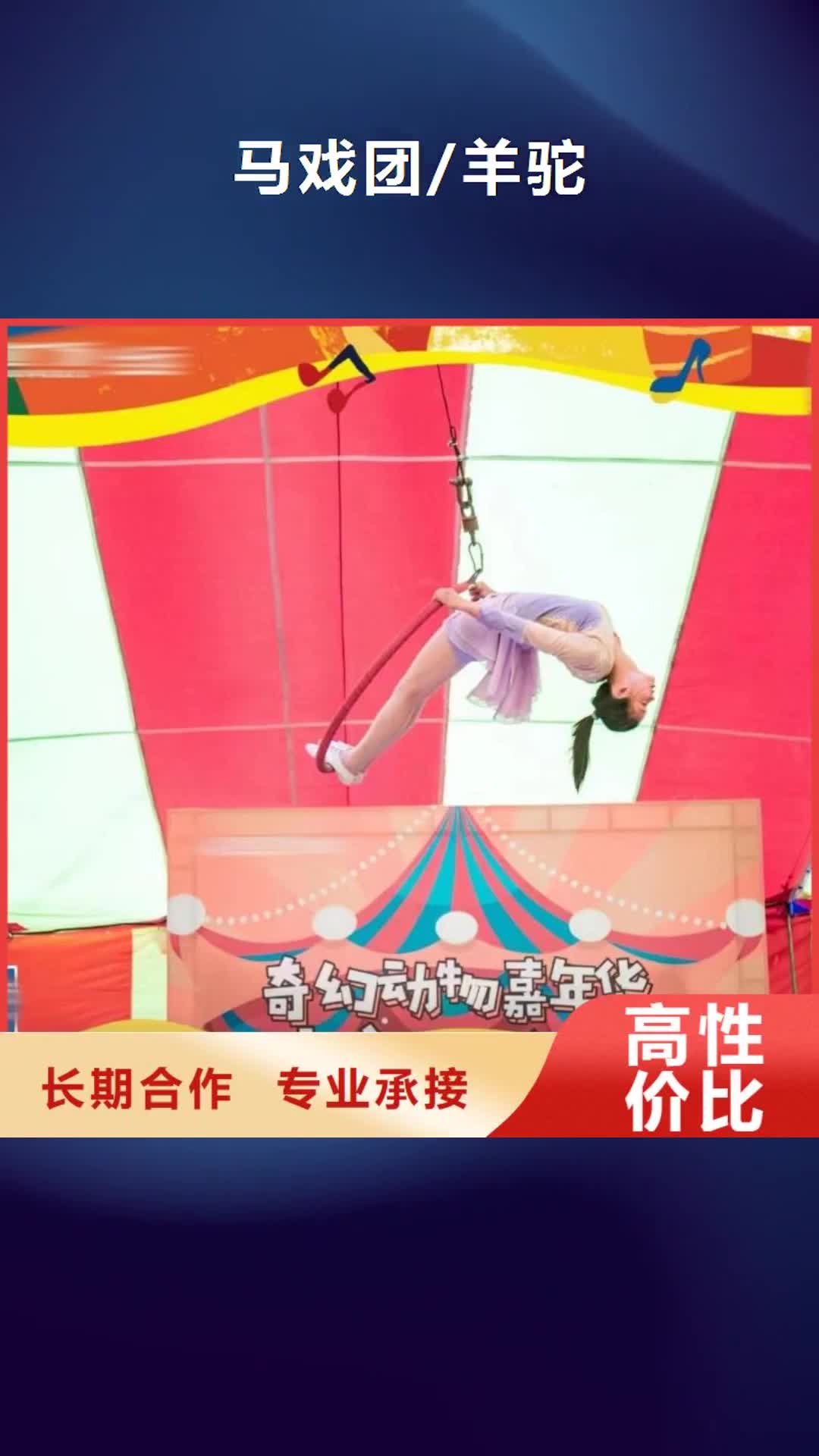 【淄博馬戲團/羊駝 羊駝出租承接】