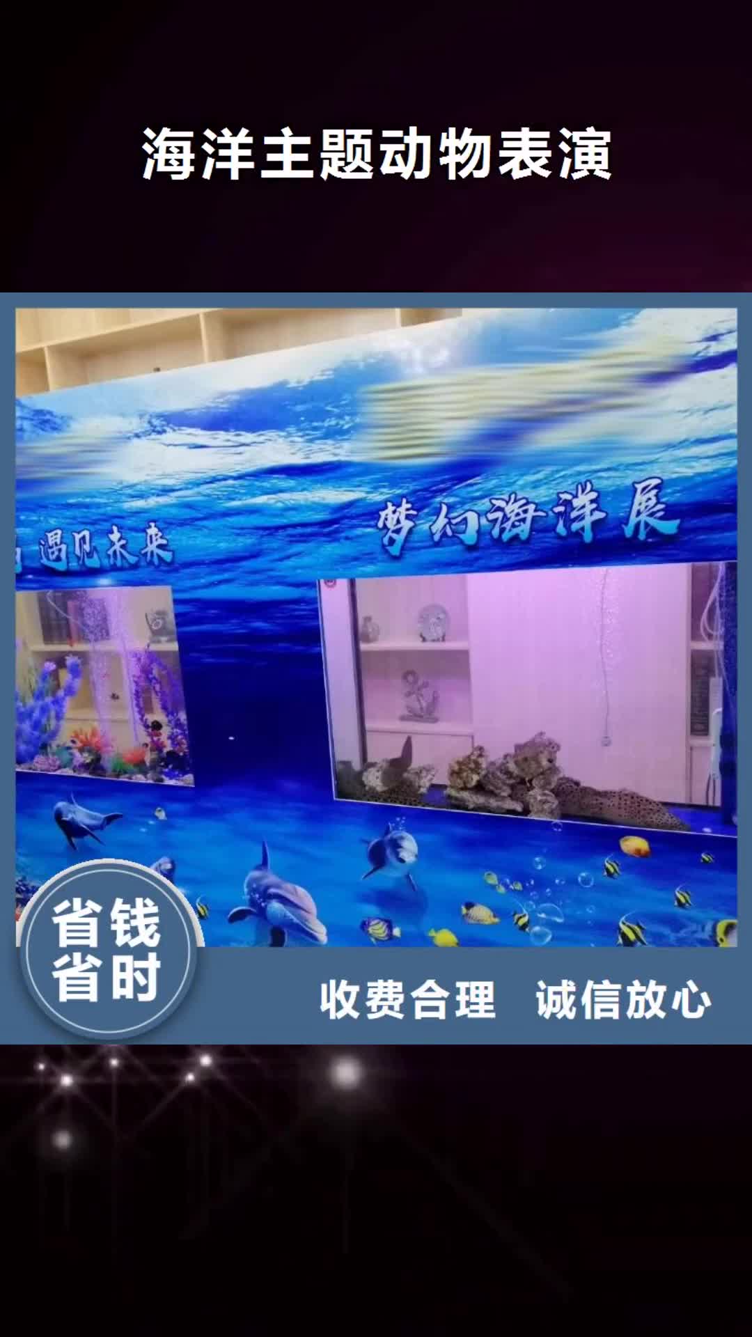 【黔東南海洋主題動物表演-美人魚表演專業】