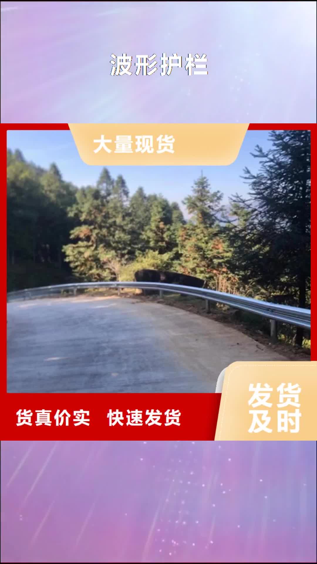 温州 波形护栏 【波形梁钢护栏】重信誉厂家