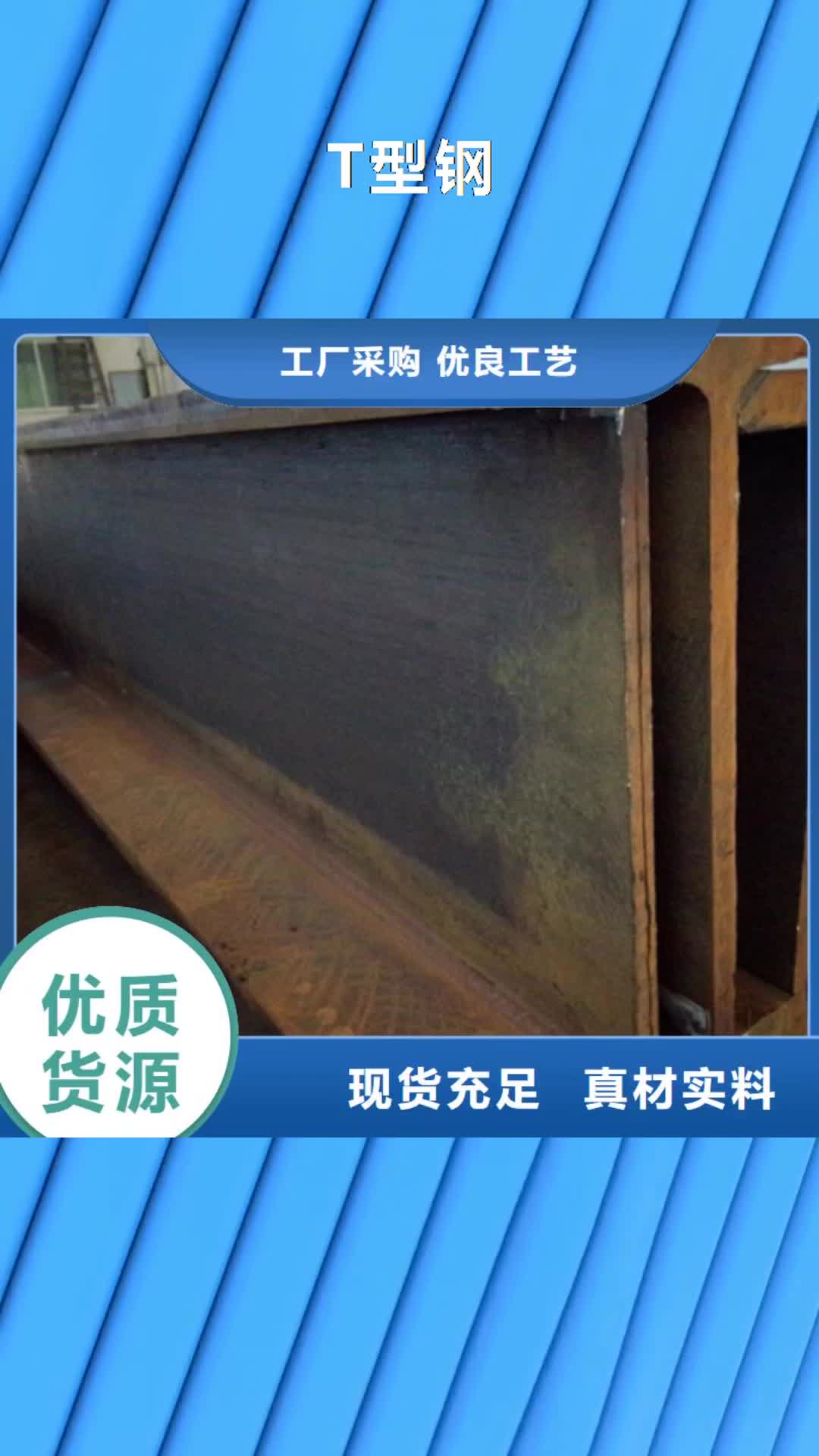 新乡 T型钢 【无缝钢管】精心