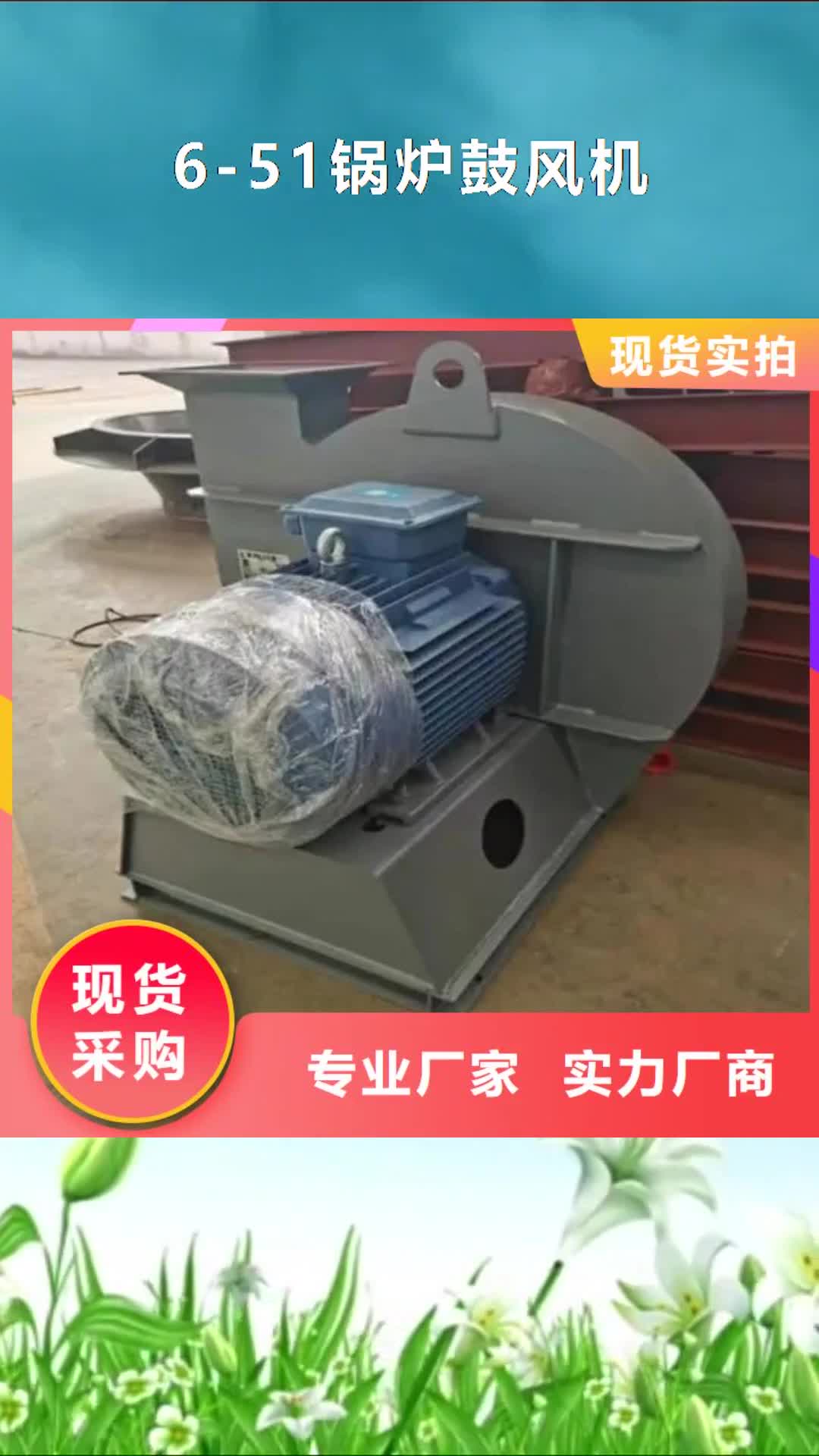 【河北6-51锅炉鼓风机,锅炉风机高品质诚信厂家】