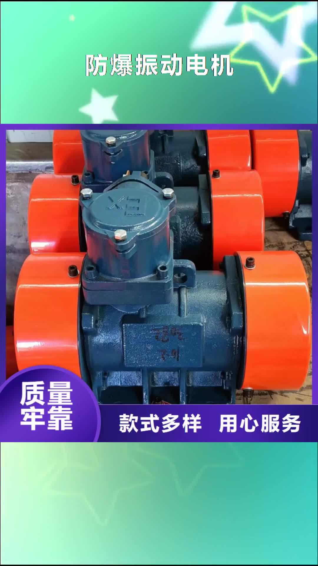 【澳門(mén) 防爆振動(dòng)電機(jī) 輸送機(jī)廠家大品牌值得信賴】