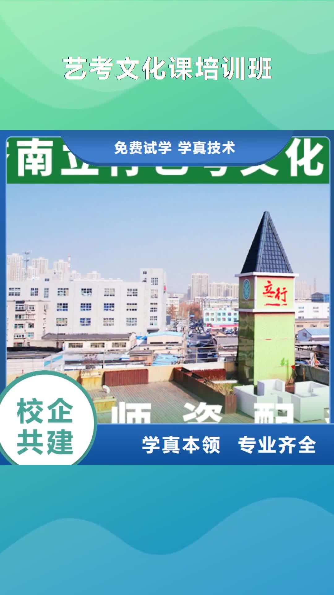 【玉树 艺考文化课培训班指导就业】