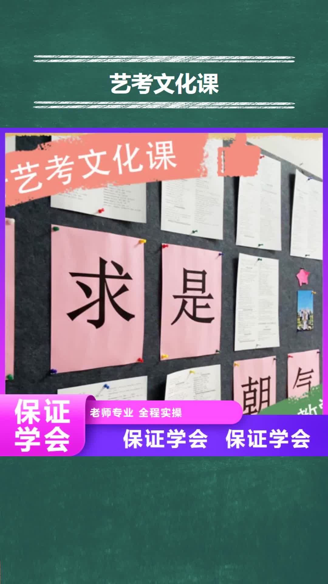 【河南 艺考文化课手把手教学】