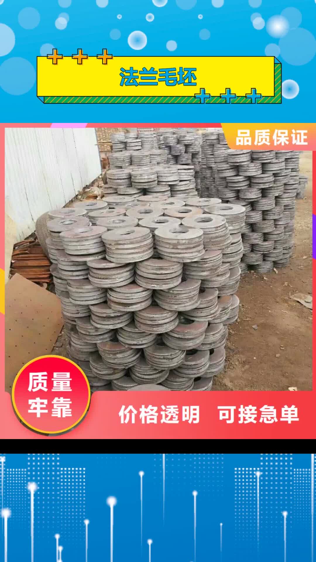 甘南 法兰毛坯 【锻造法兰毛坯】种类丰富