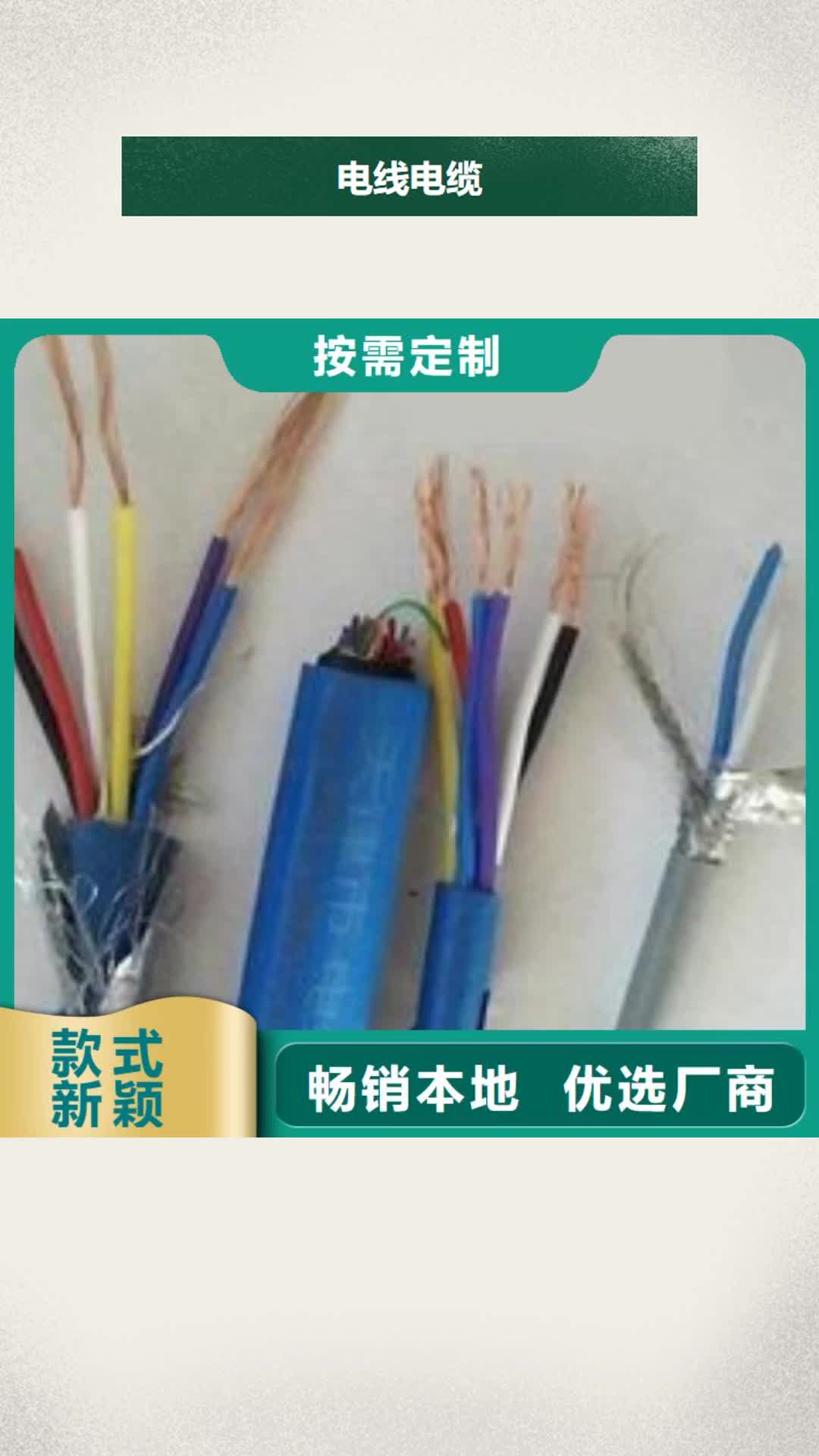 【西宁 电线电缆 DJYVP电缆供应商】