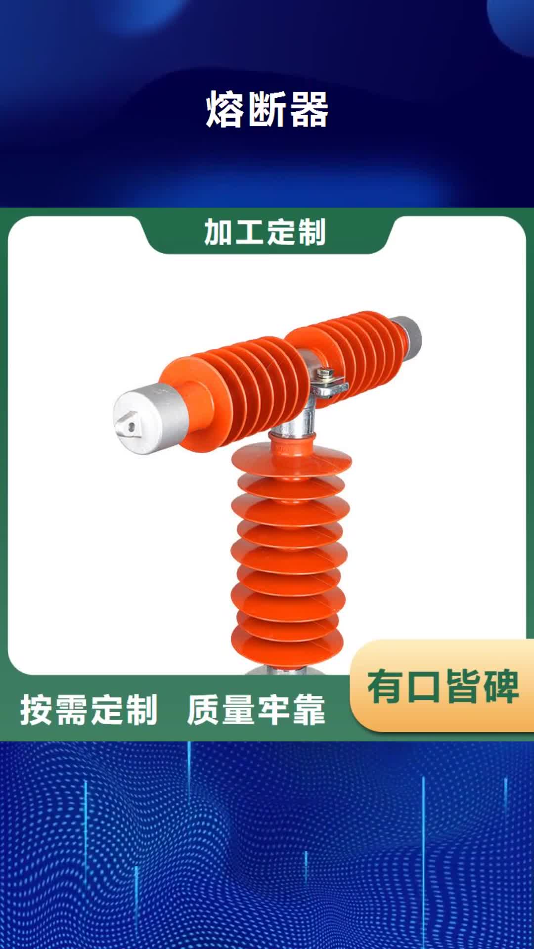 扬州 熔断器_【氧化锌避雷器】品质无所畏惧