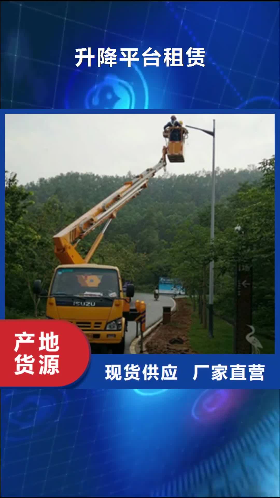 娄底 升降平台租赁订购