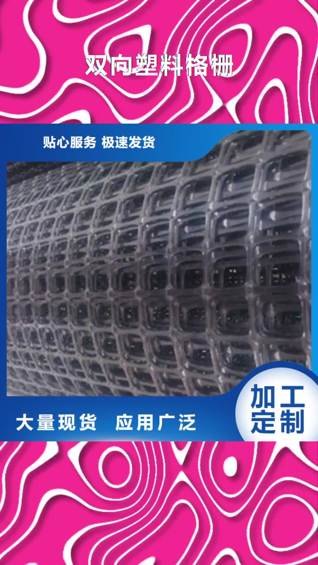 【石家庄 双向塑料格栅 三维植被网保障】