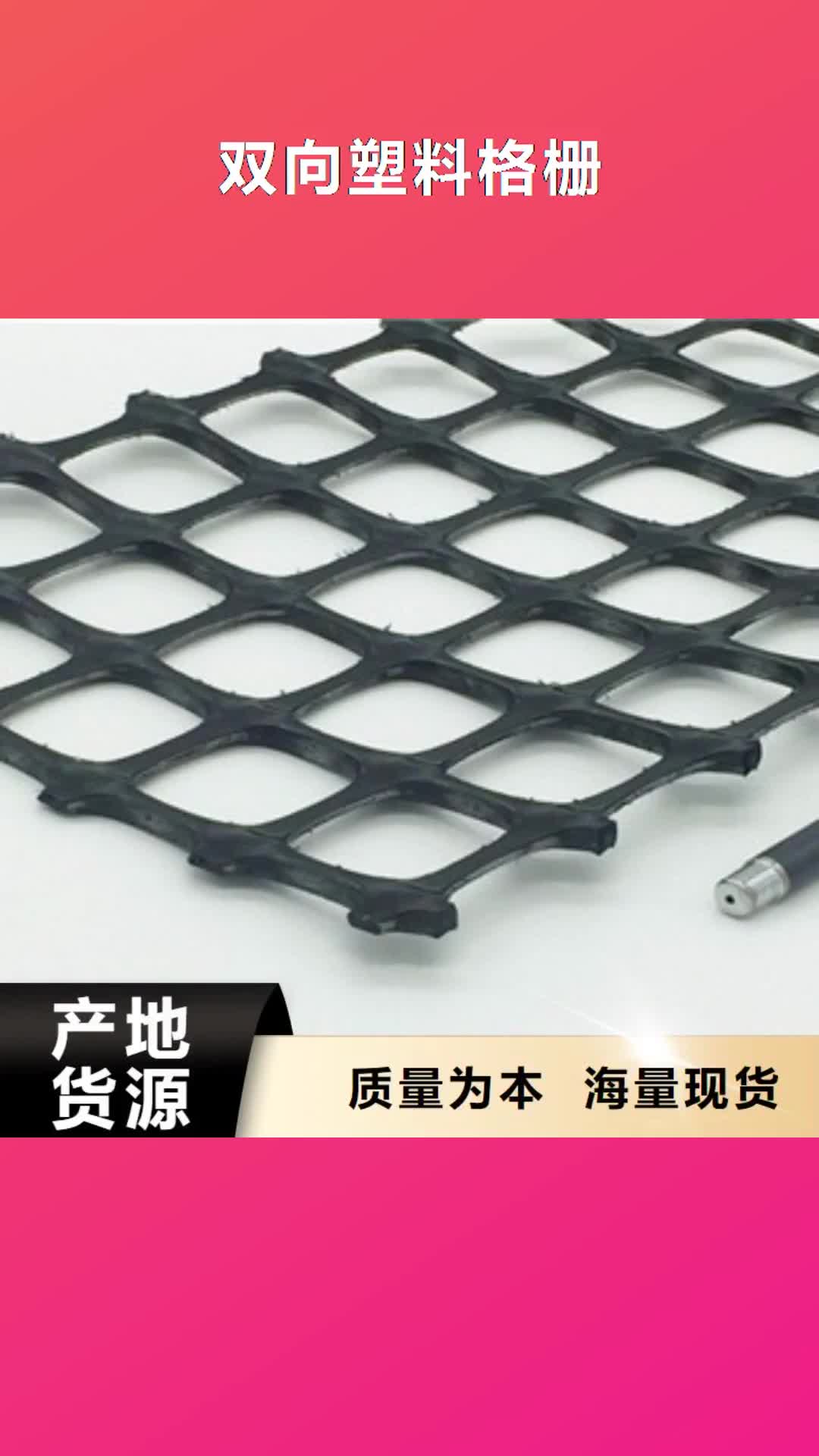 【汕尾 双向塑料格栅,三维植被网用心做好每一件产品】