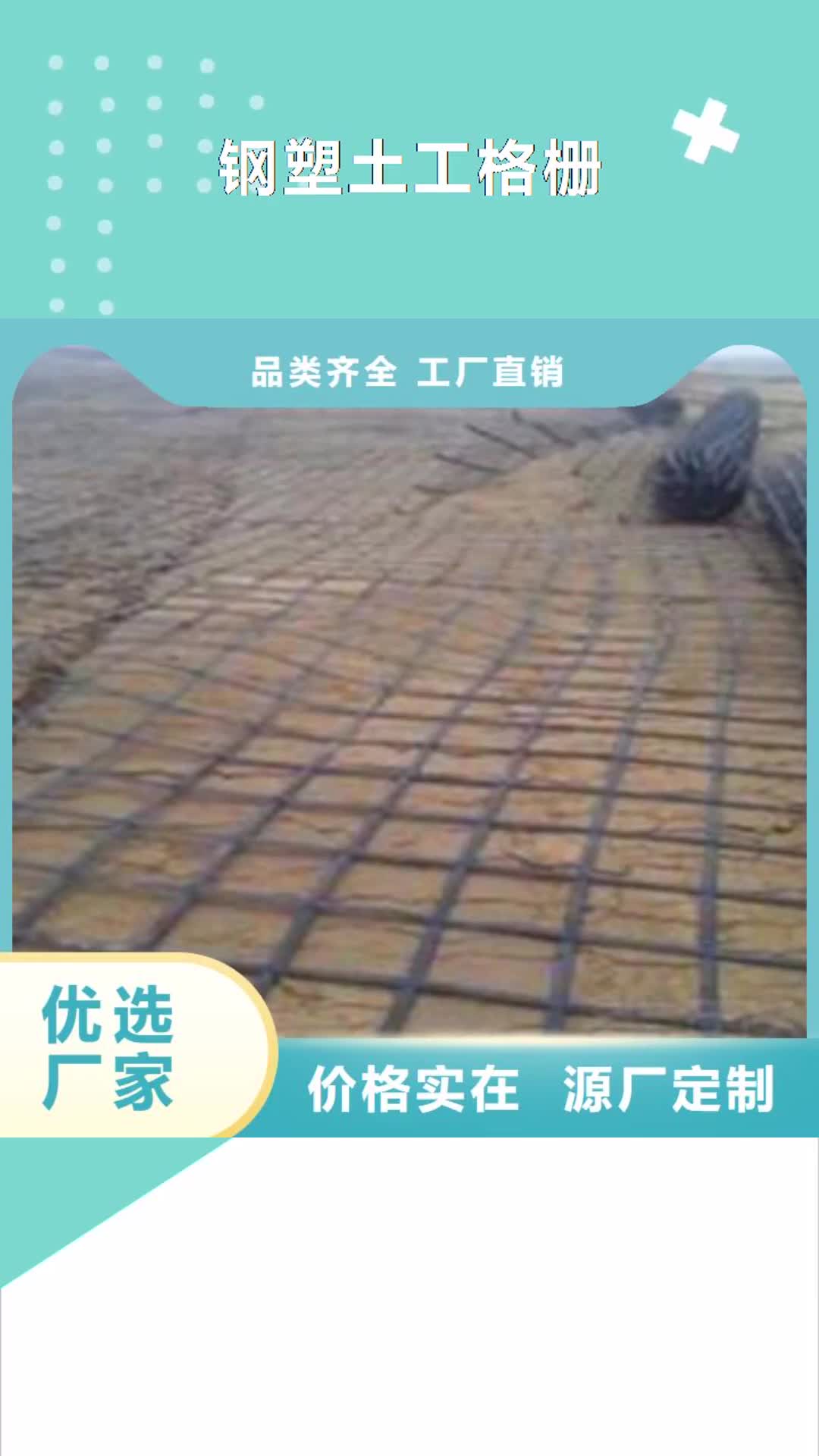 甘肃 钢塑土工格栅用的放心