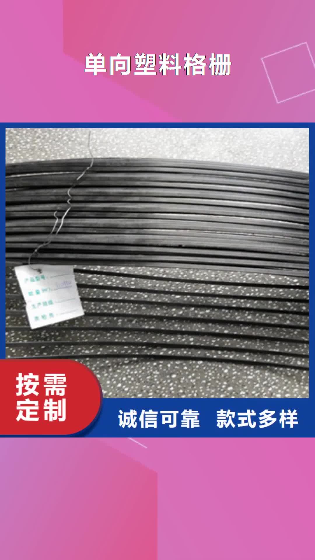 【锦州 单向塑料格栅 玻纤土工格栅拒绝伪劣产品】