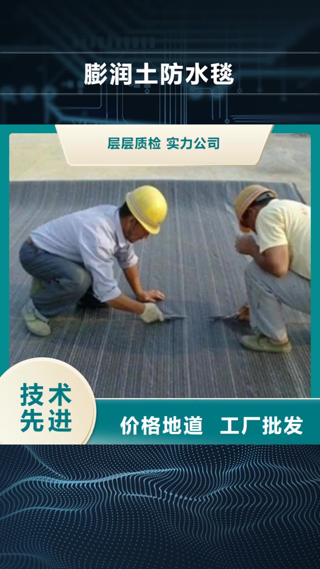 滁州 膨润土防水毯热销产品