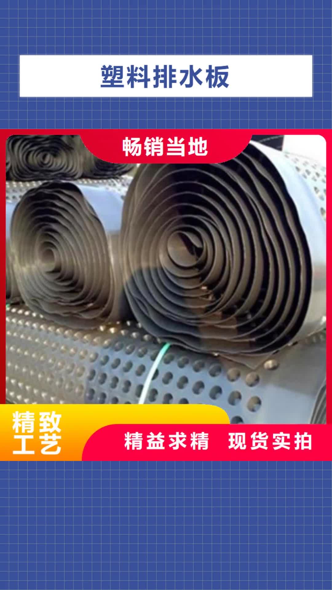 铜陵 塑料排水板厂家直发