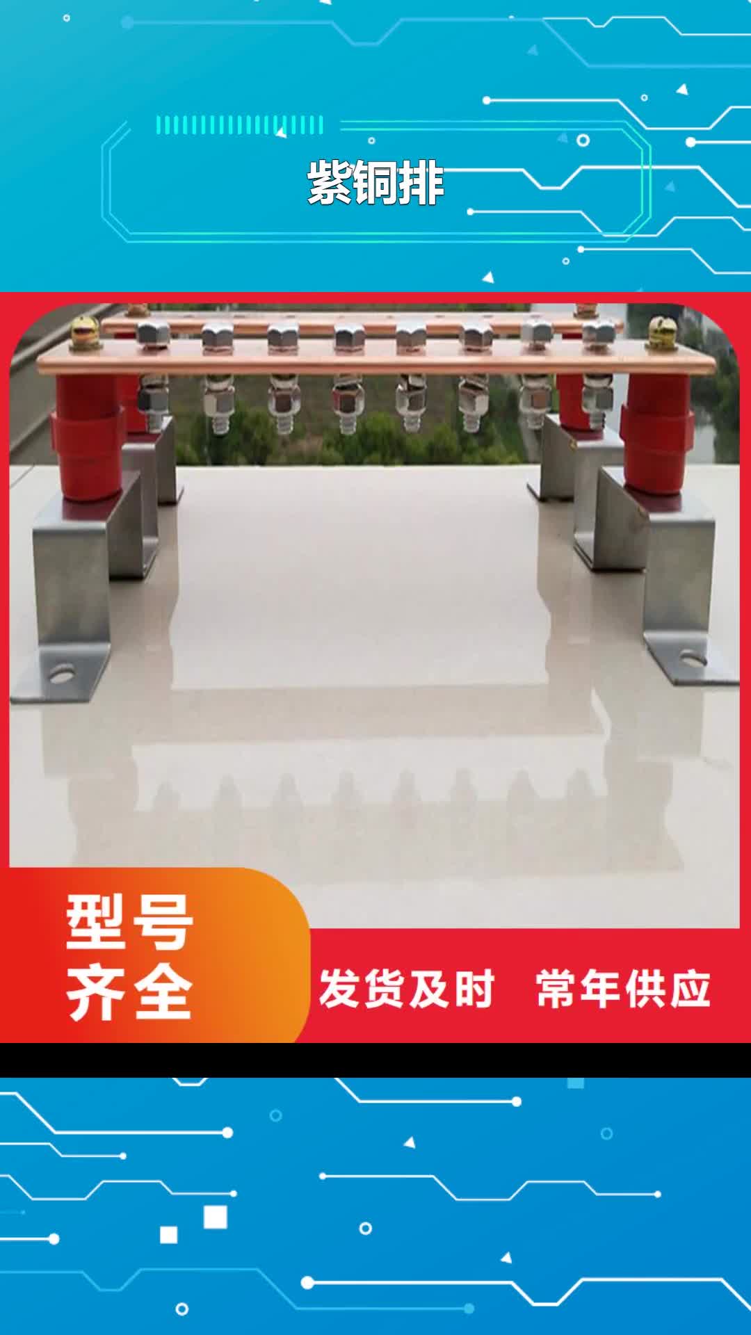 【阜阳 紫铜排,紫铜管追求细节品质】