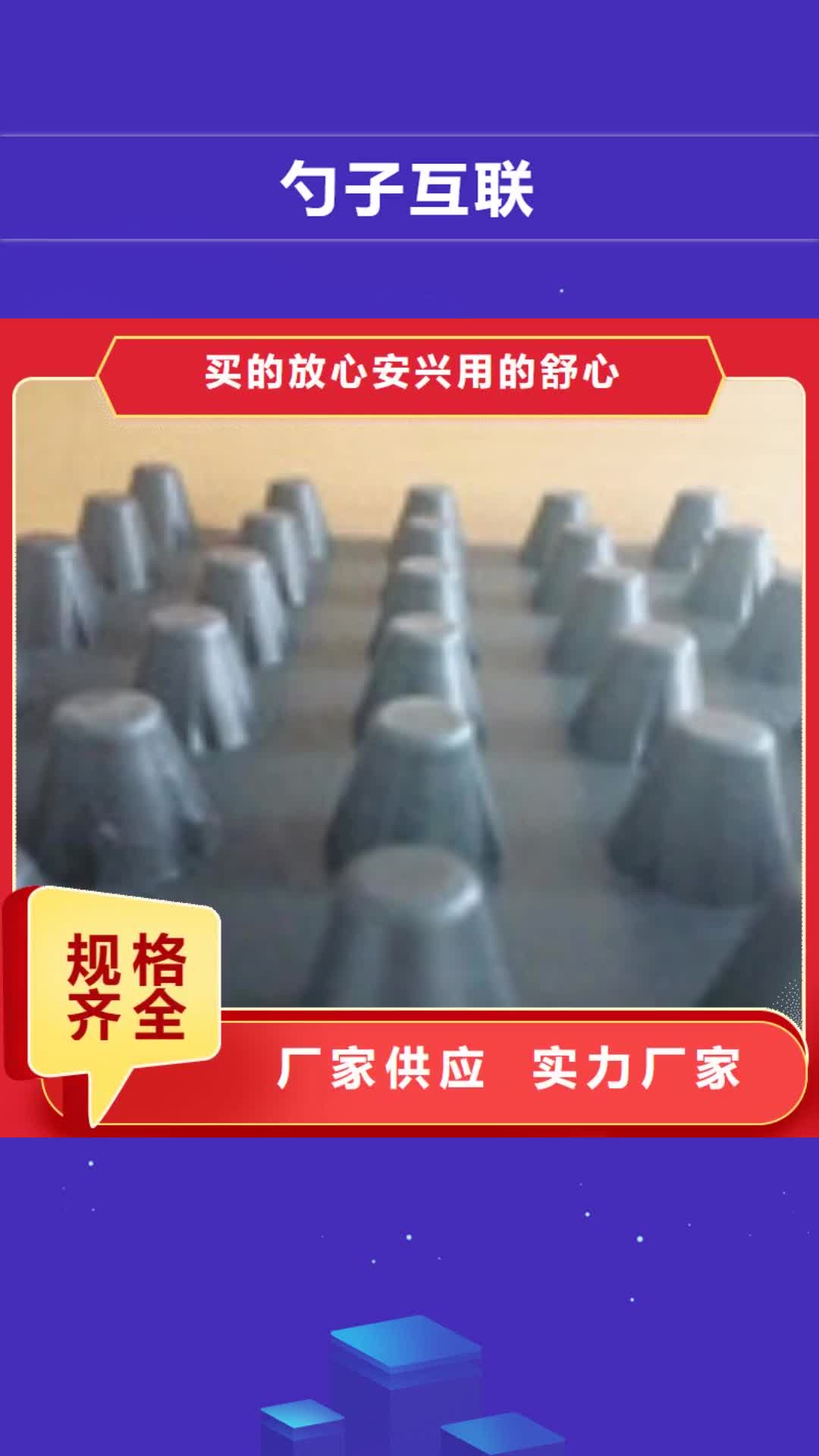 【汉中 勺子互联_防水板匠心制造】