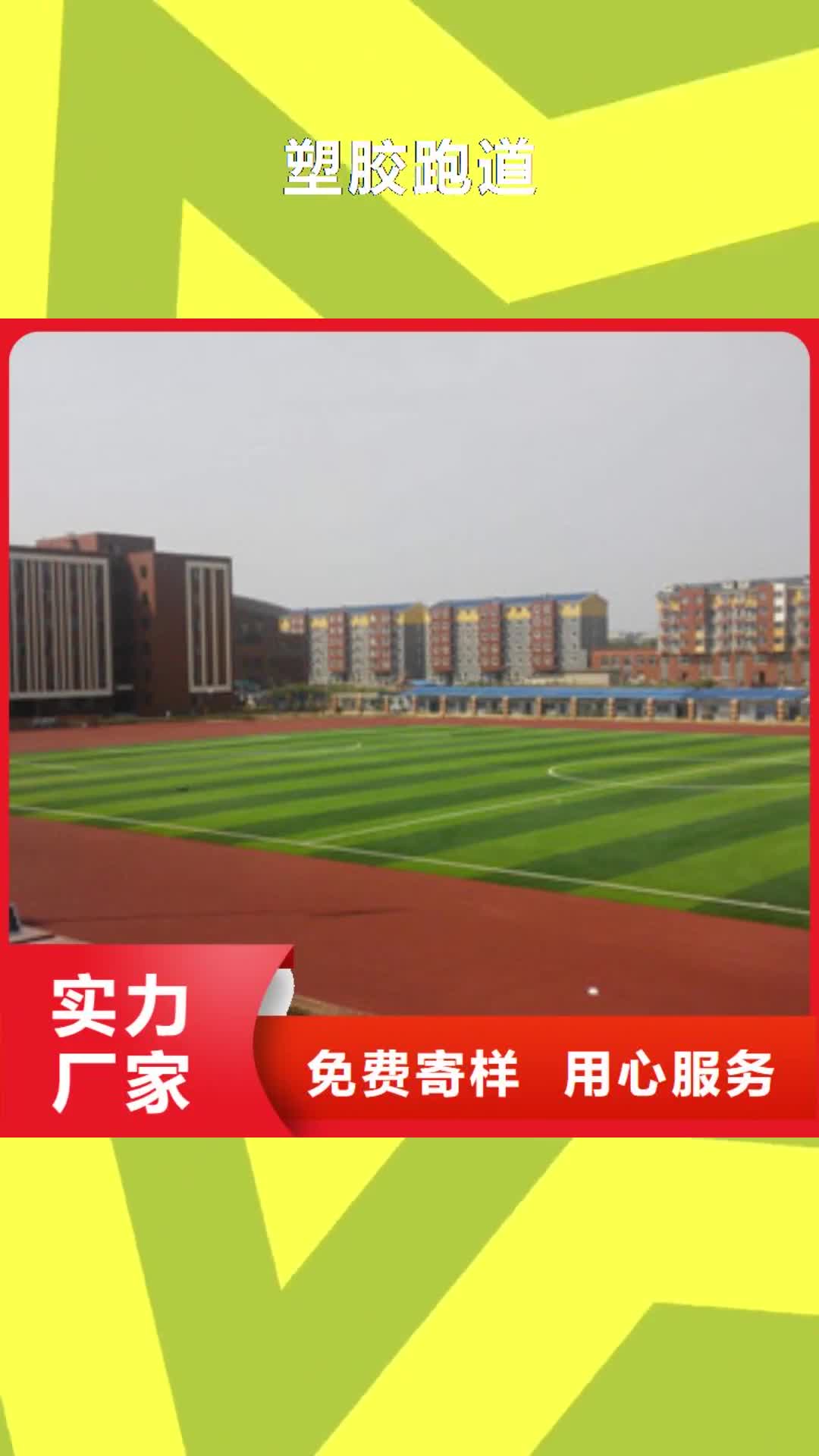 廊坊【塑胶跑道】_篮球架用心服务