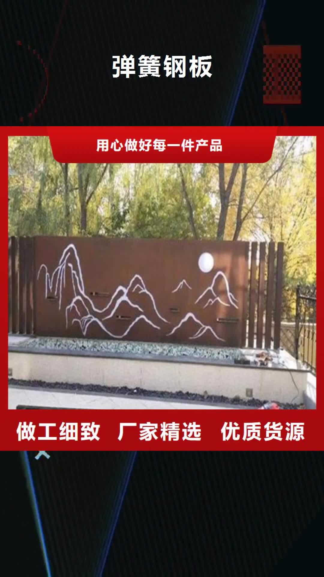 【南通 弹簧钢板-耐候钢板现货满足大量采购】