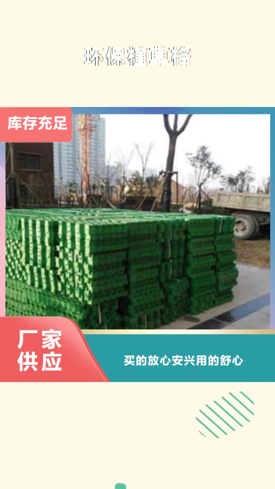 【柳州 环保植草格-排水板厂家源头把关放心选购】
