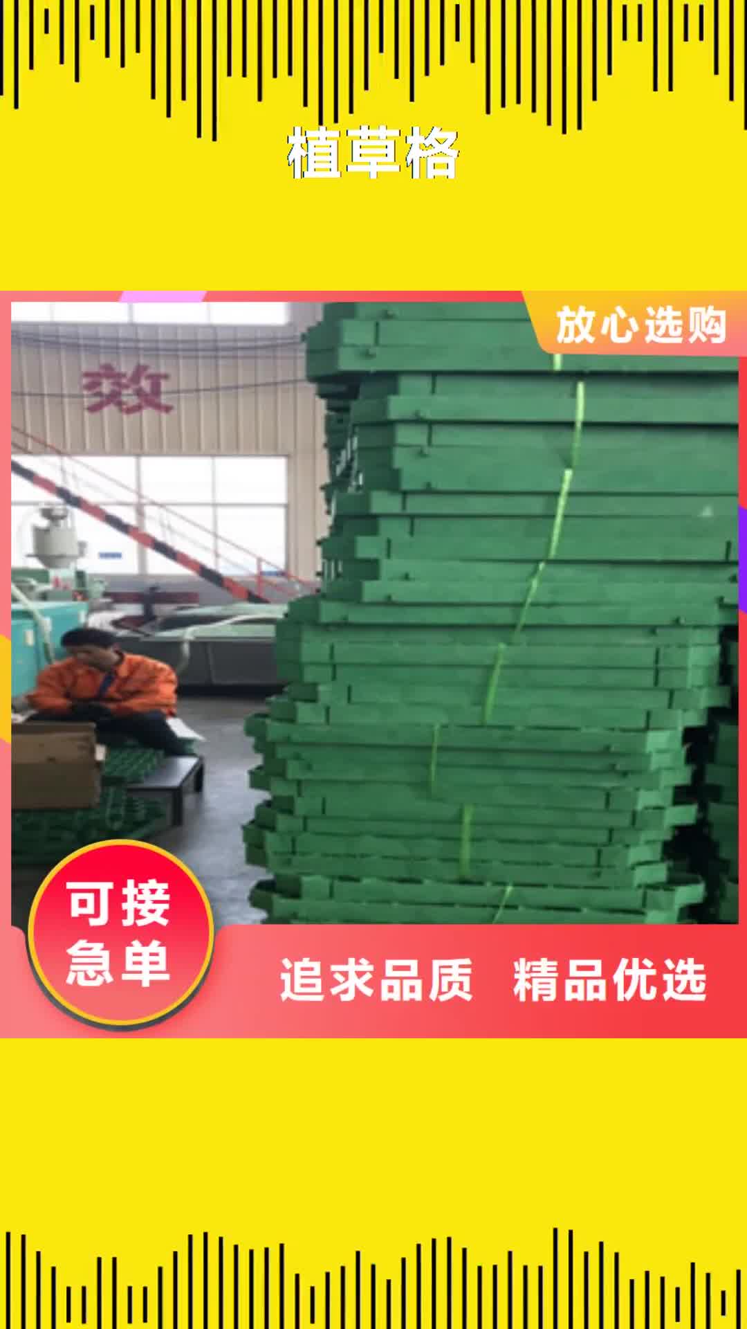 广安 植草格-【膨润土防水毯厂家】现货充足量大优惠