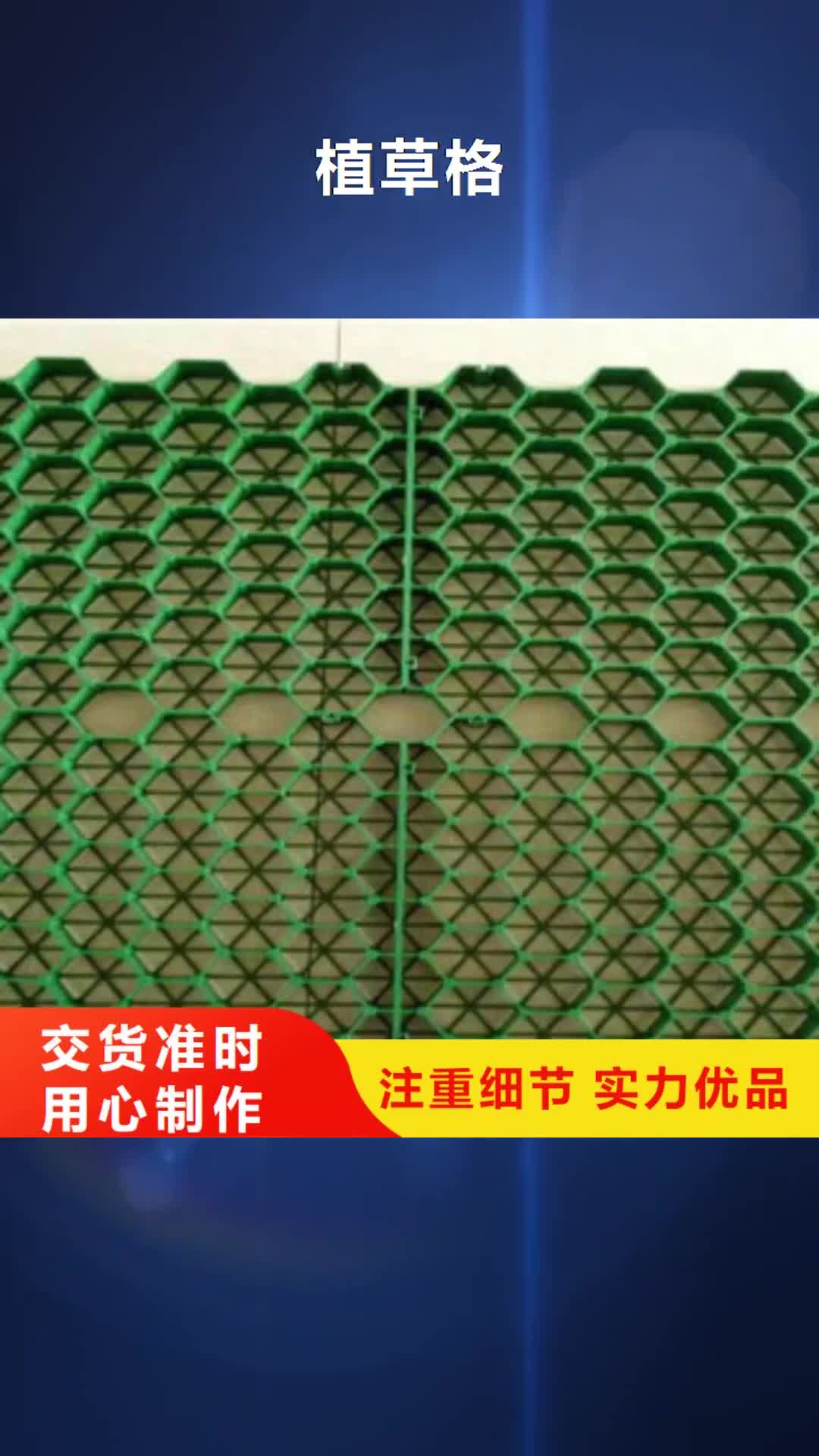 六盘水 植草格 【排水板厂家】一站式采购方便省心