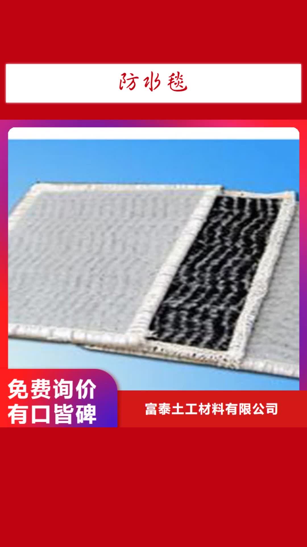 荆门【防水毯】-植草格厂家好品质售后无忧
