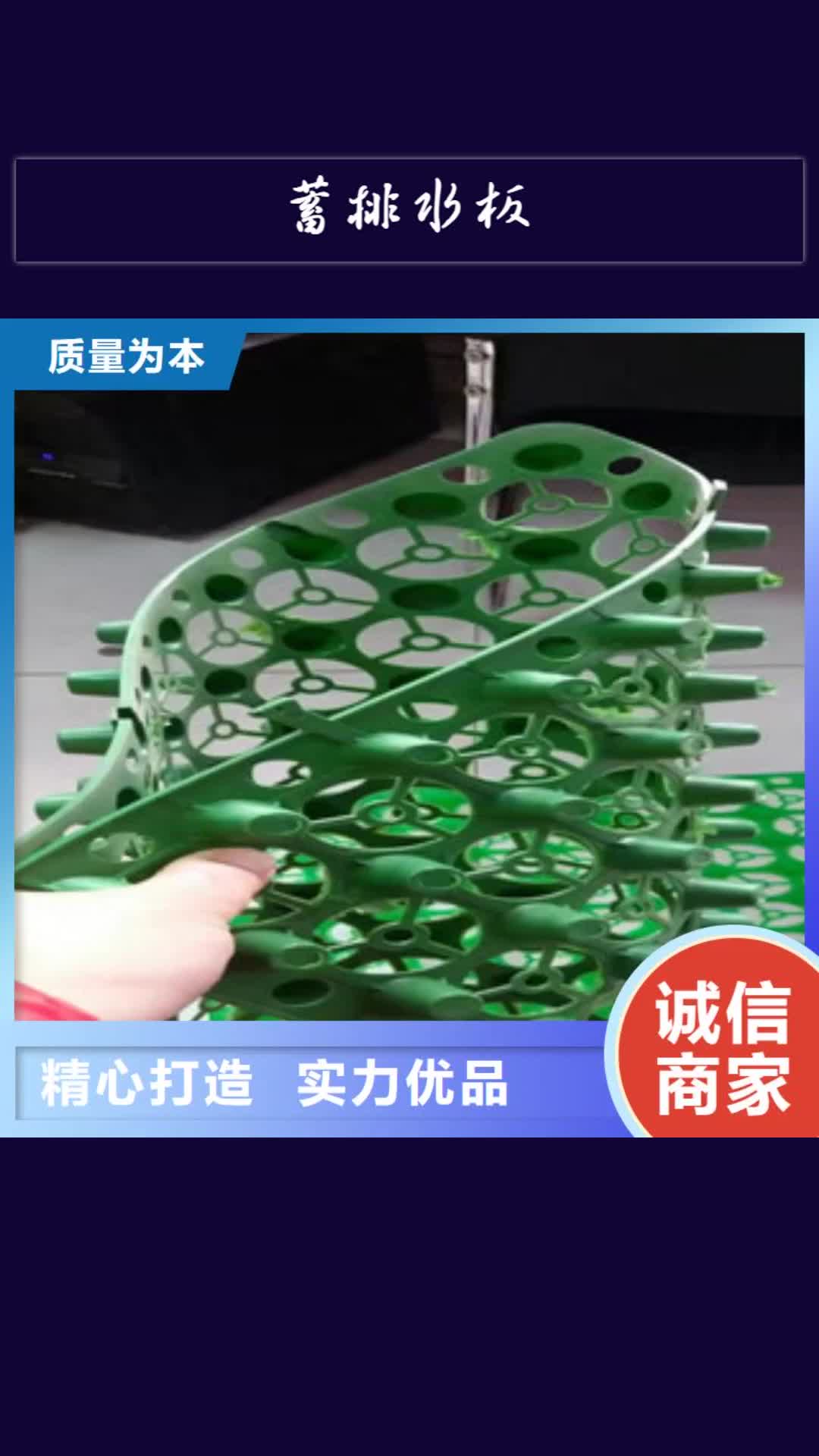 直辖 蓄排水板 【土工膜厂家】优选货源